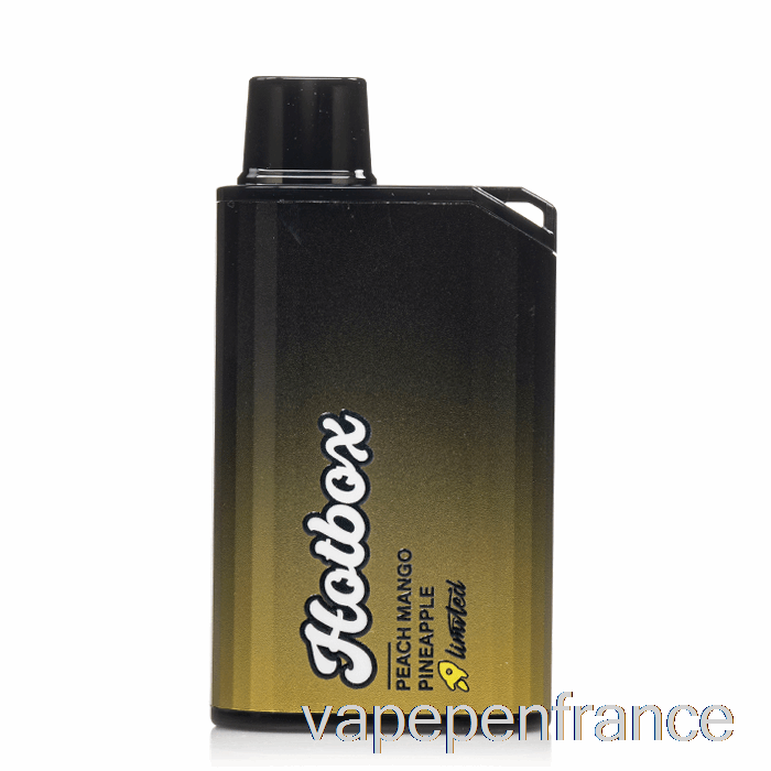 Puff Brands Hotbox 7500 Stylo Jetable Pêche Mangue Ananas Vape